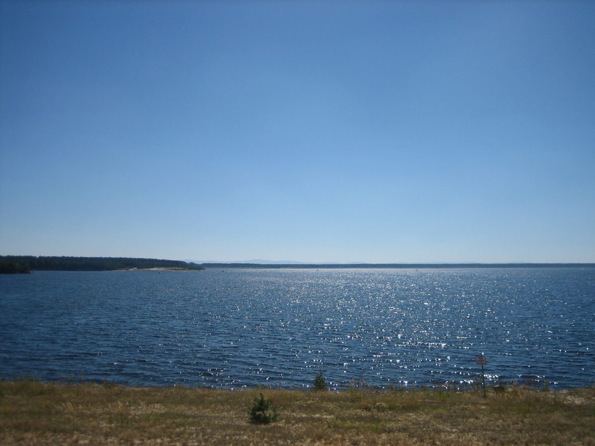 Bärwalder See Nordufer.