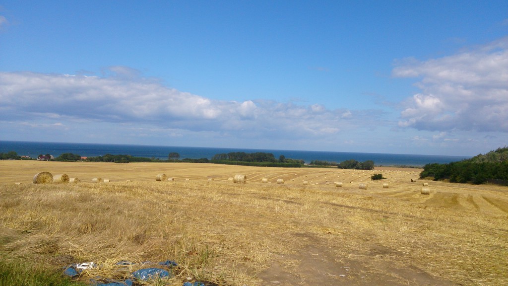 Ostseeblick bei Kühlungsborn