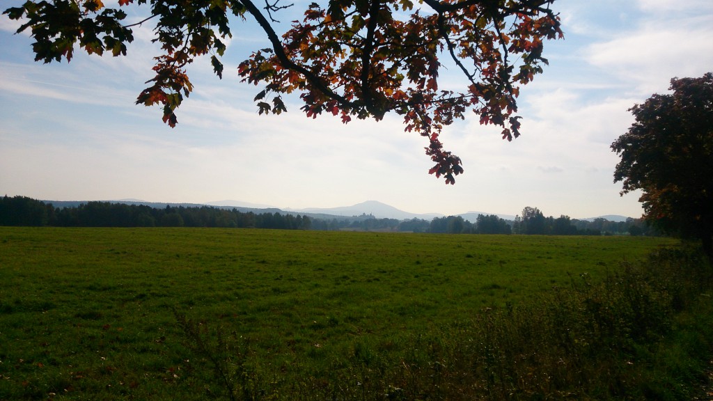 Blick zum Tannenberg / Jedlová (774 m) von einer Anhöhe bei Schönlinde / Krásná Lípa.