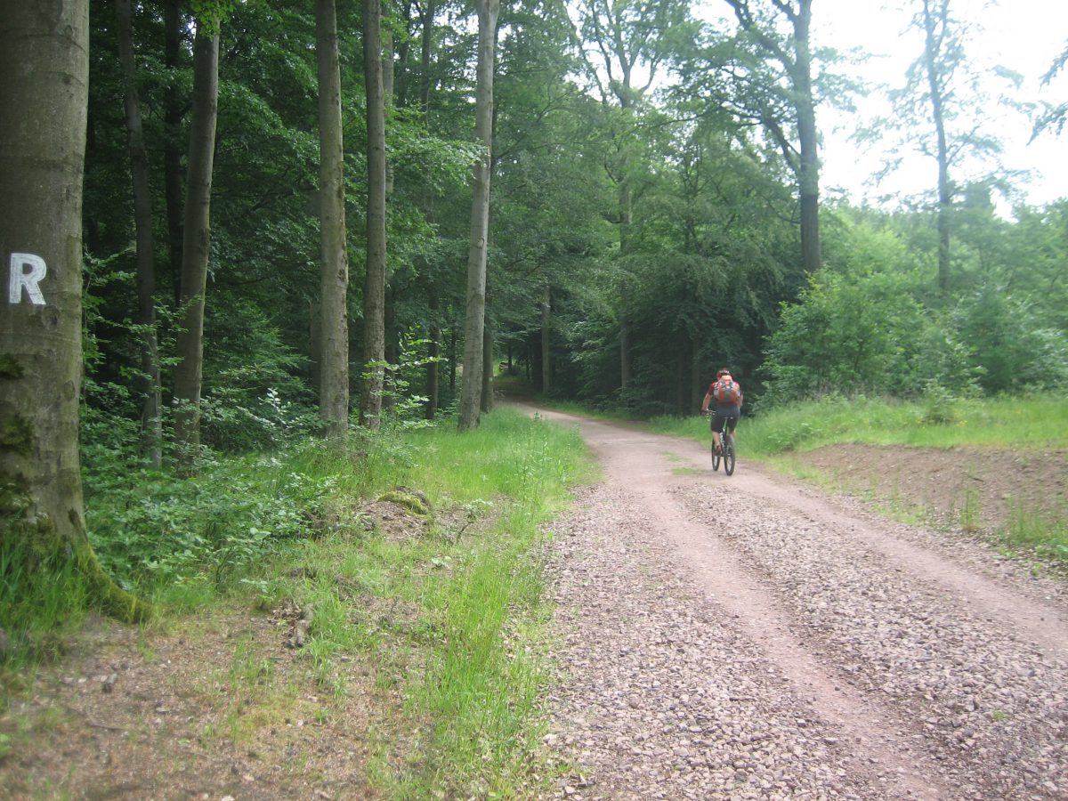 Rennsteig.