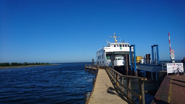 Fährschiff MF »Vitte« im Hafen von Schaprode.