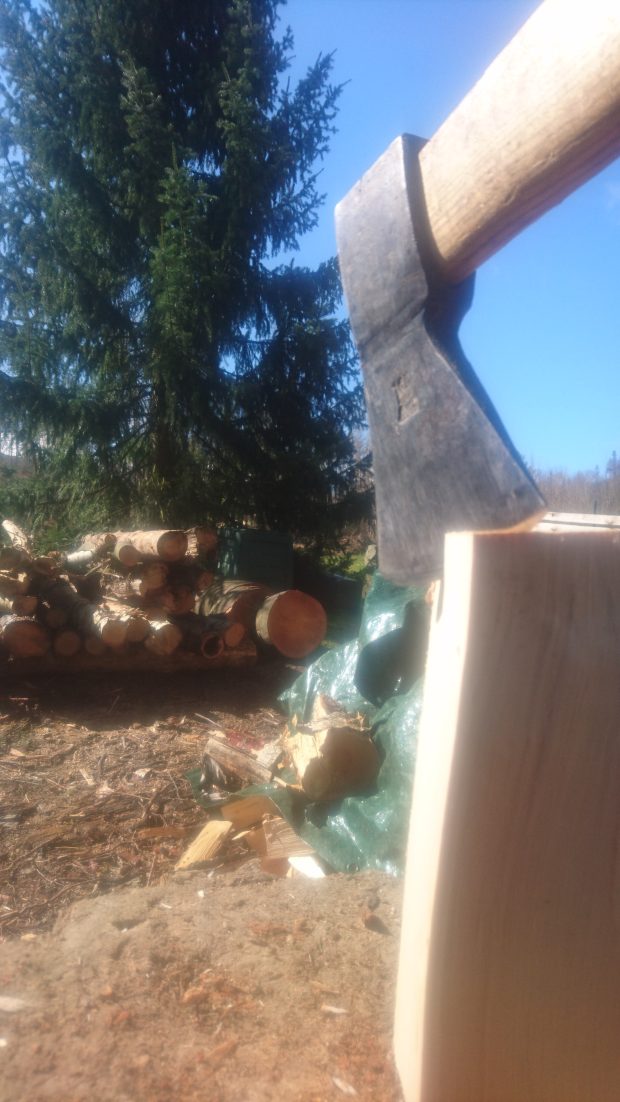 20220409: Holzhacken!!